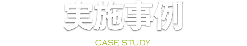 実施事例